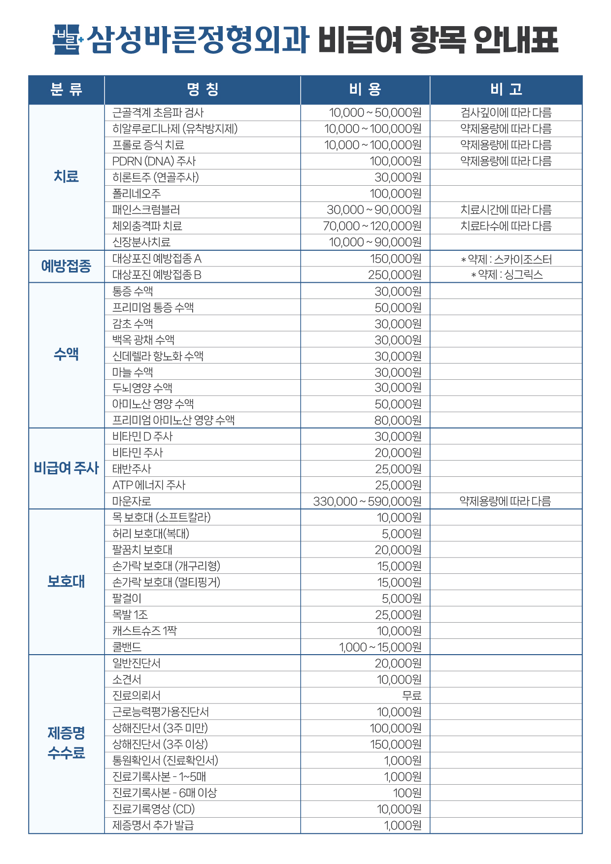 비급여 항목